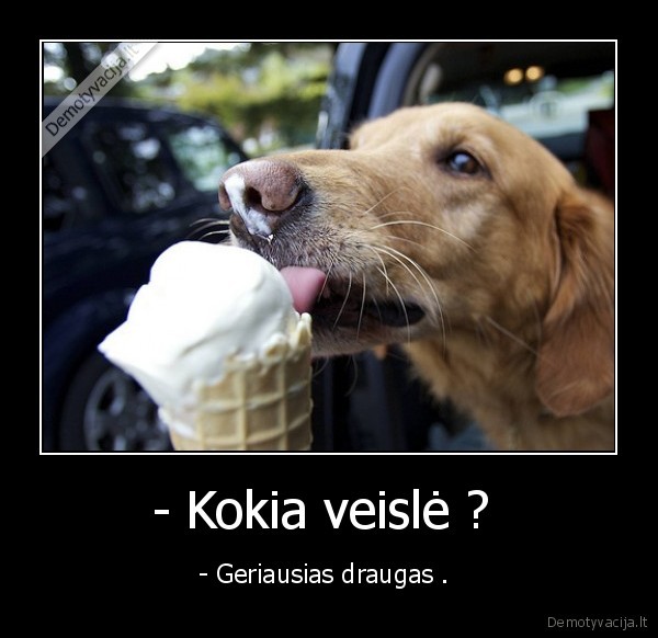 - Kokia veislė ? 
