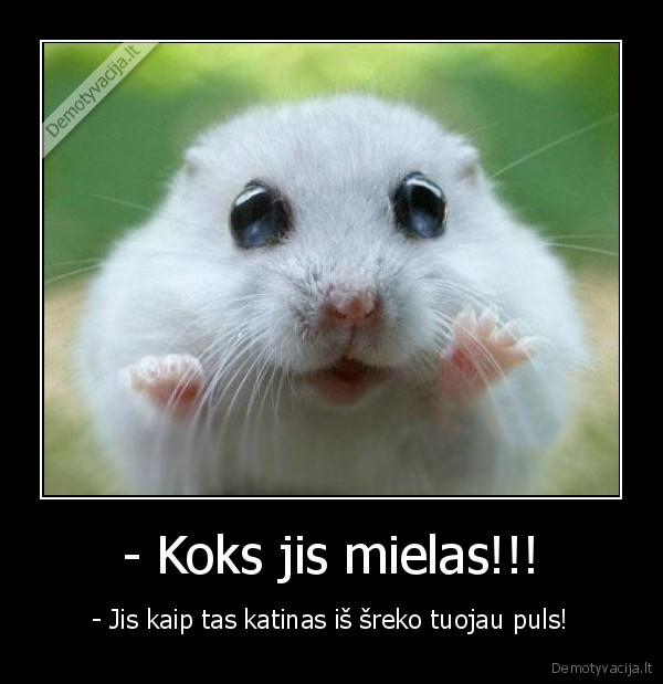 - Koks jis mielas!!!