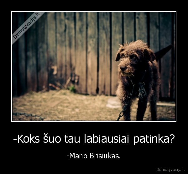 brisius