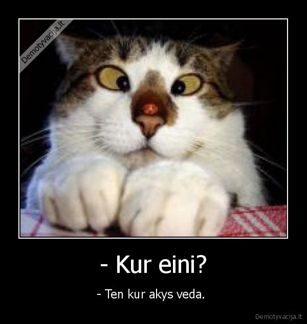 - Kur eini?
