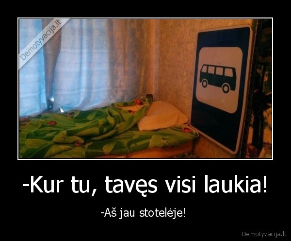stotele., lova