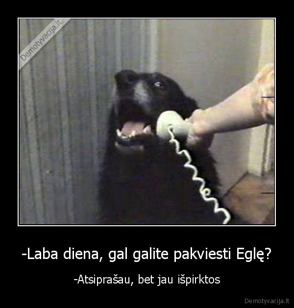 suo,egle