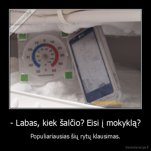 - Labas, kiek šalčio? Eisi į mokyklą?