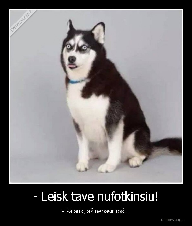 fotografija,suo