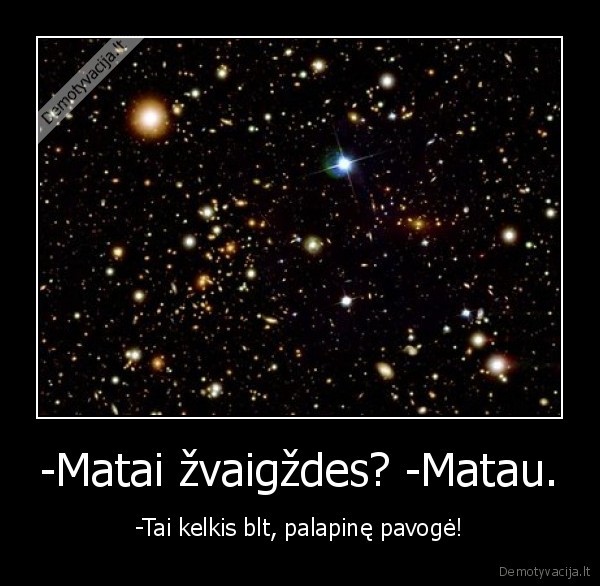 palapine,zvaigzdes