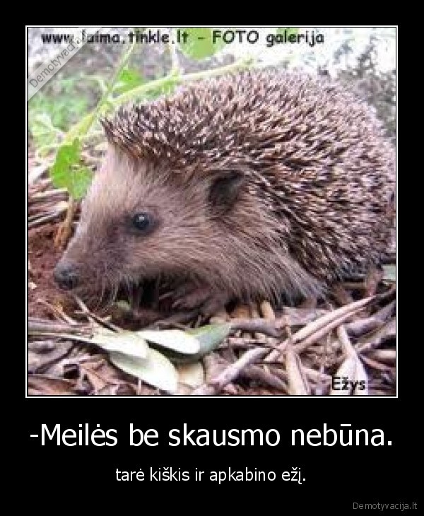 -Meilės be skausmo nebūna.