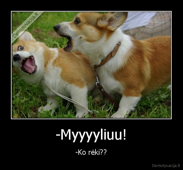 -Myyyyliuu!
