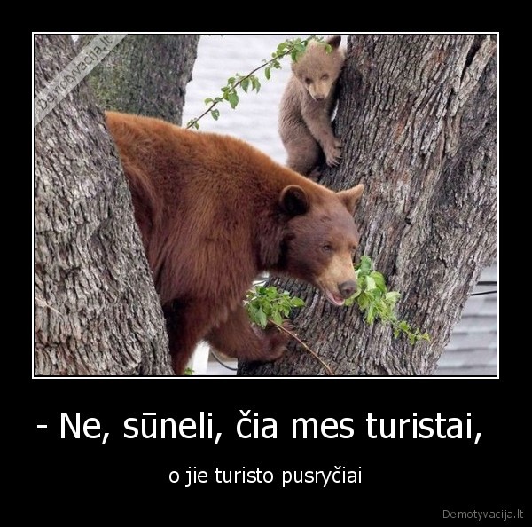 - Ne, sūneli, čia mes turistai, 