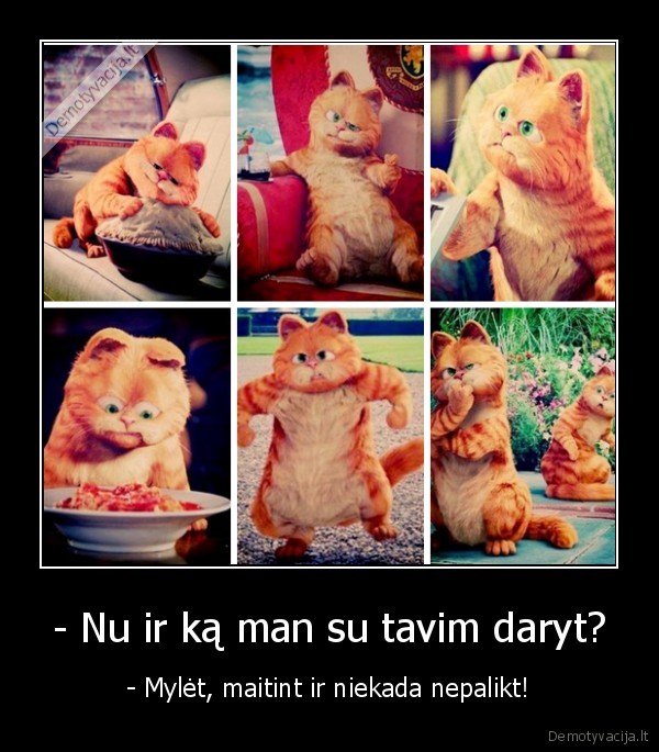 garfieldas,myleti,maitinti,neplaikti