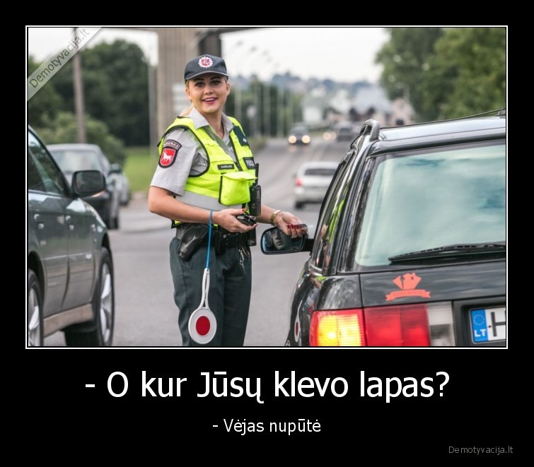 vejas,klevo, lapas,nupute,vairuotojai,klevas,policija,reidas