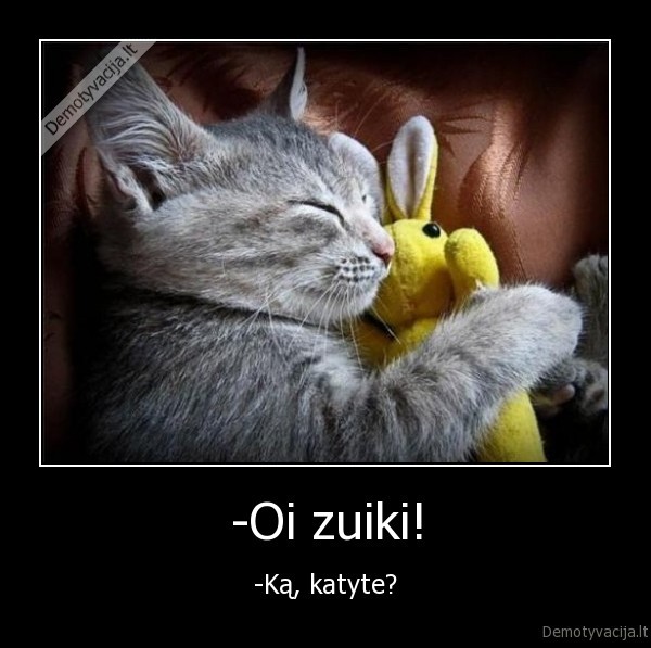 -Oi zuiki!