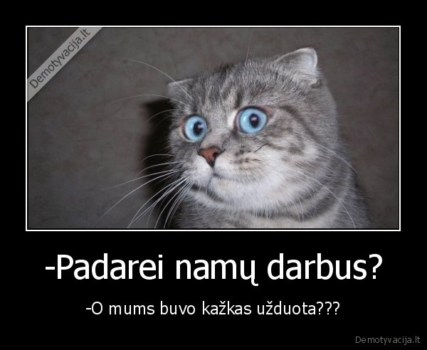 namu, darbai,uzduota,nustebti