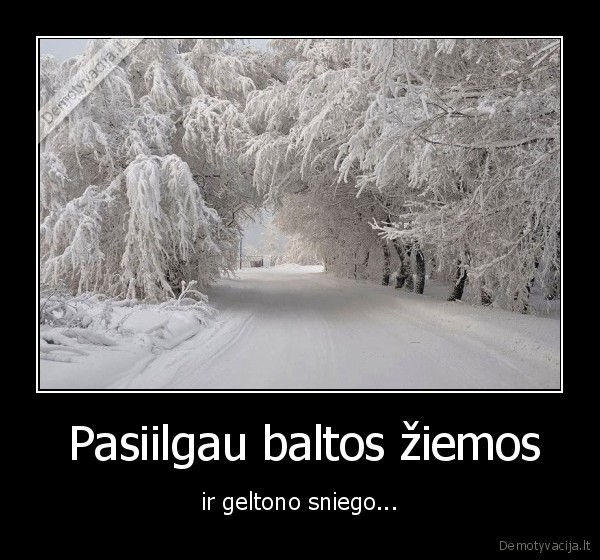 ziema,sniegas,geltona