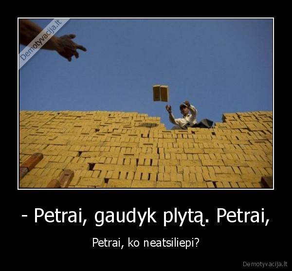 petra,s, plyta,pizda, petrui