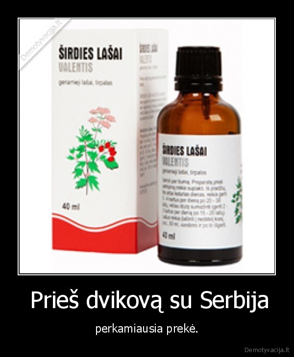  Prieš dvikovą su Serbija