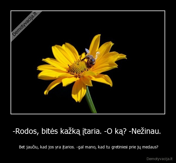 -Rodos, bitės kažką įtaria. -O ką? -Nežinau. 