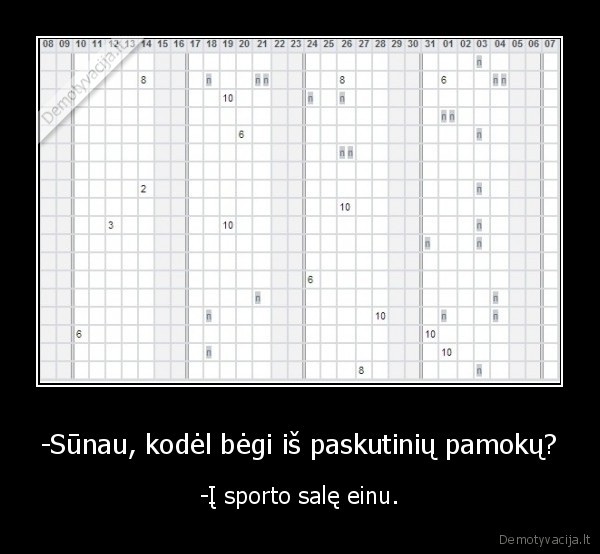 sportas