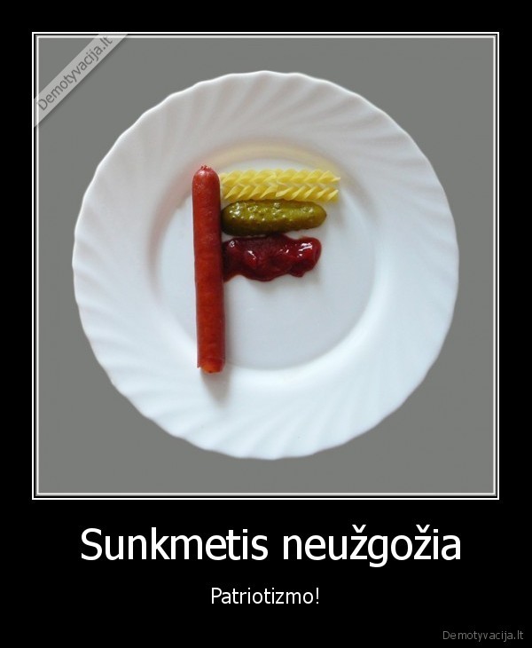 patriotizmas,patriotai,sunkmetis