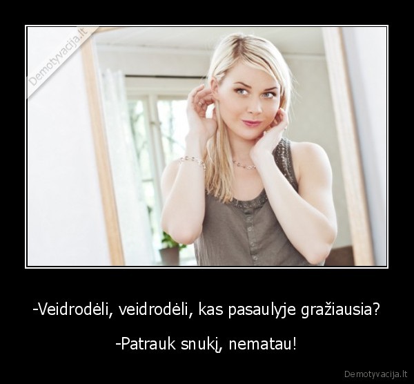 veidrodelis