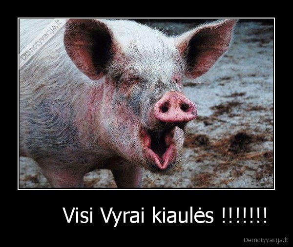 kiaule,vyrai