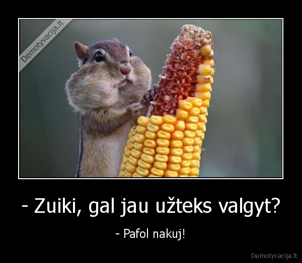zuikis,edrune