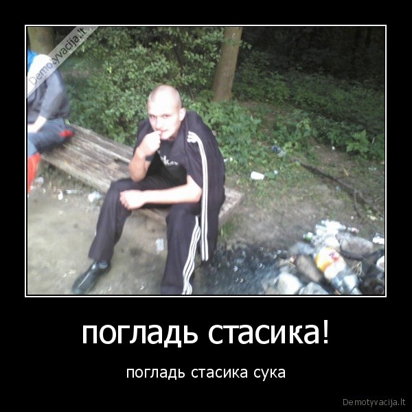 погладь стасика!