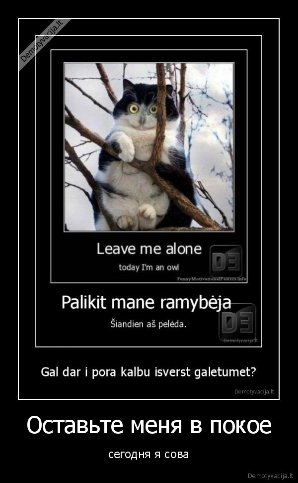 kalbos, peledkate