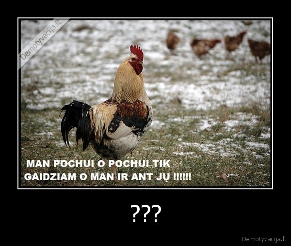 ???