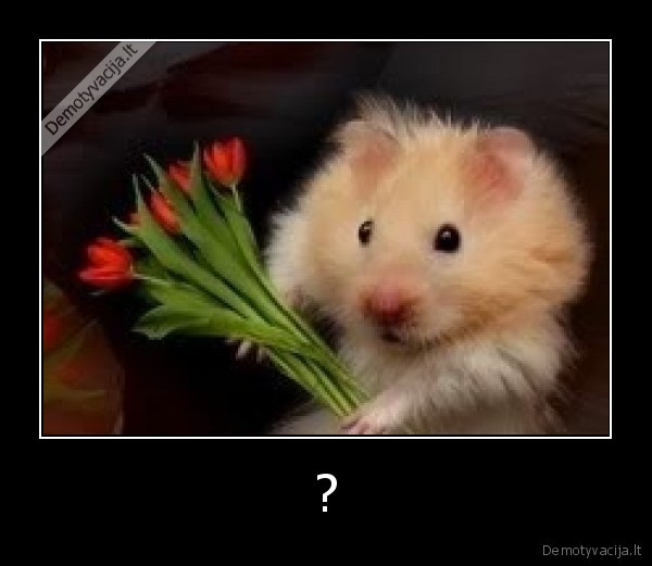 ?