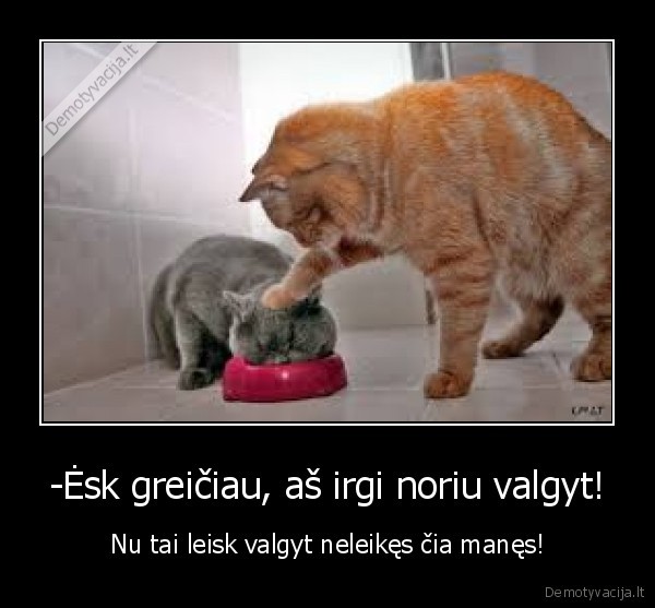 -Ėsk greičiau, aš irgi noriu valgyt!