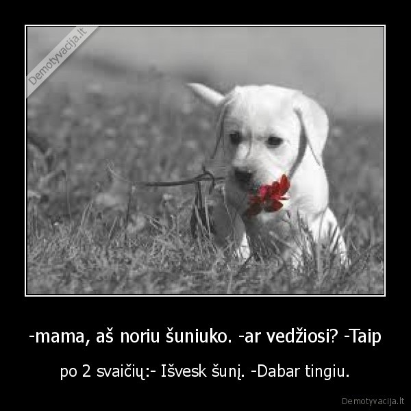 -mama, aš noriu šuniuko. -ar vedžiosi? -Taip