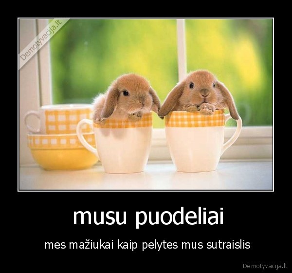 trusis,zuikis