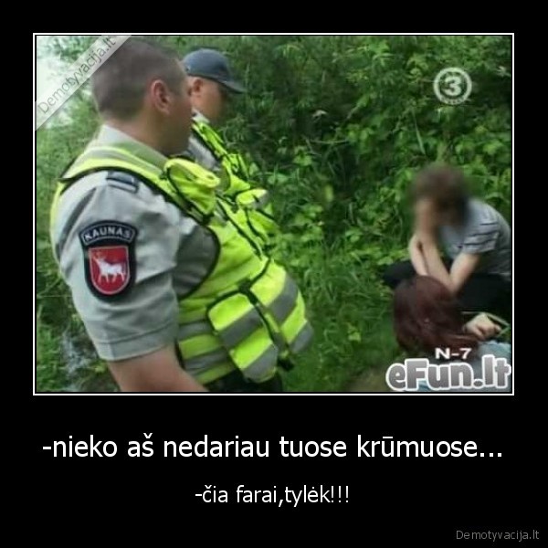 -nieko aš nedariau tuose krūmuose...