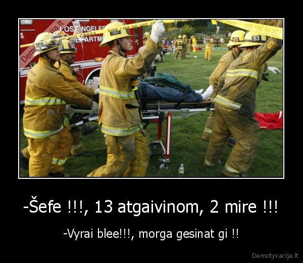 gaisras,morgas