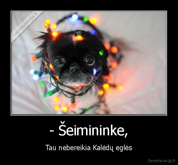 - Šeimininke,