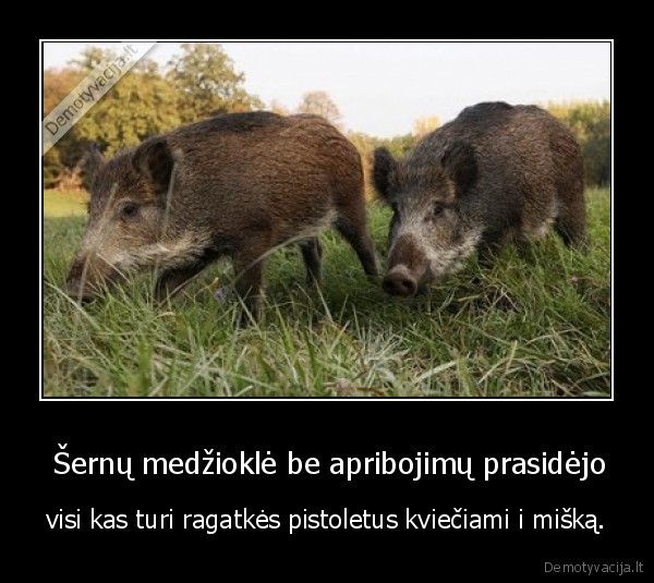 sernai,maras,pistoletai,ragatkes,miskas