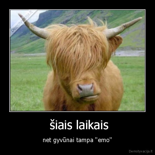  šiais laikais