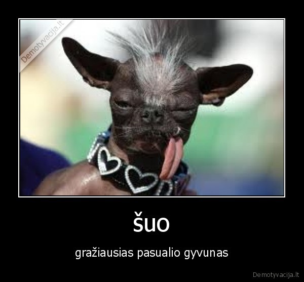 suo
