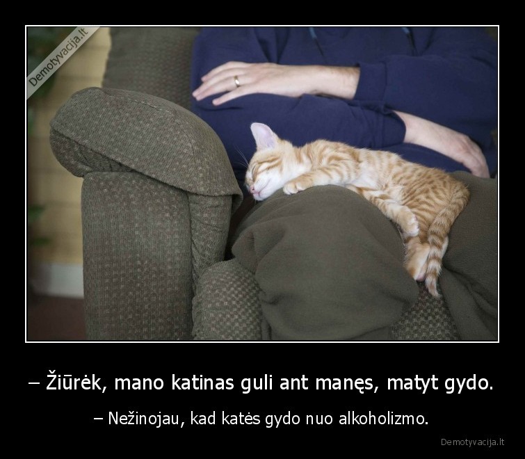 katinas,gydo,alkoholikas