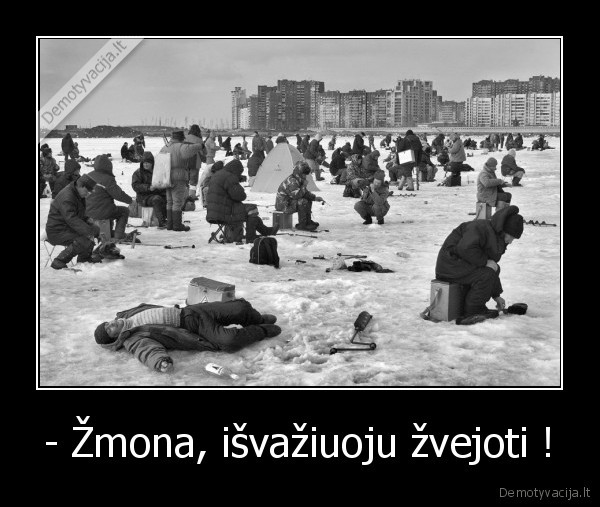 pjanke,ledas,zuvis
