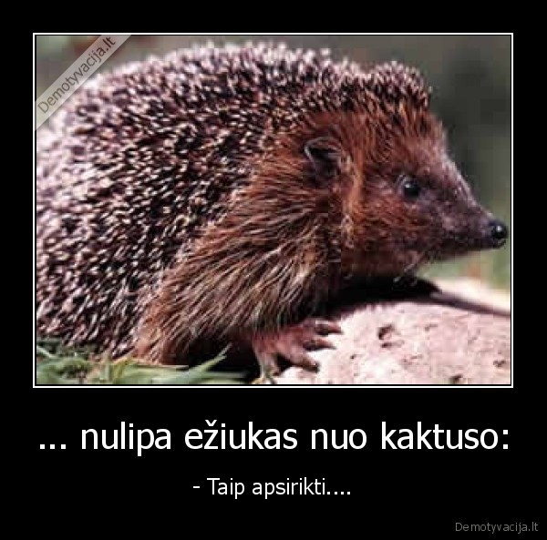 selmis, eziuukas