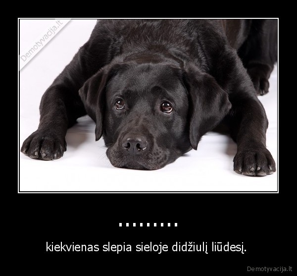.........