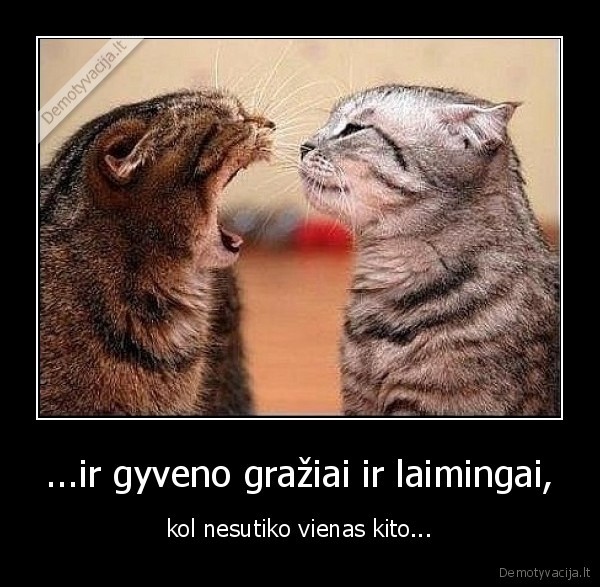 ...ir gyveno gražiai ir laimingai,