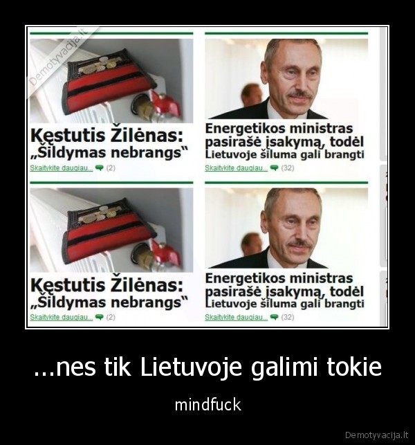 bubilius, kibys