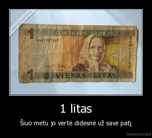 vienas, litas, pinigai