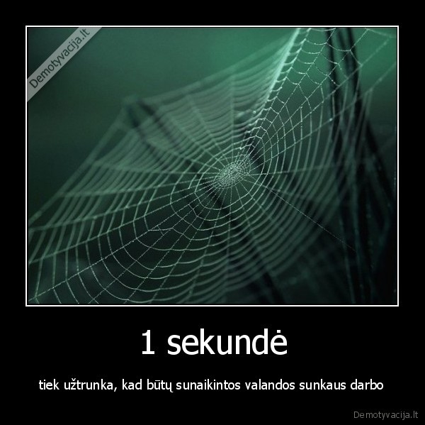 voras,voratinklis