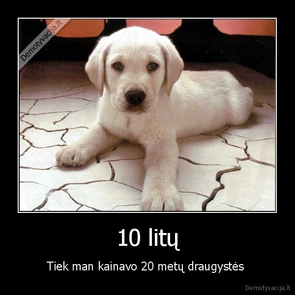 10 litų