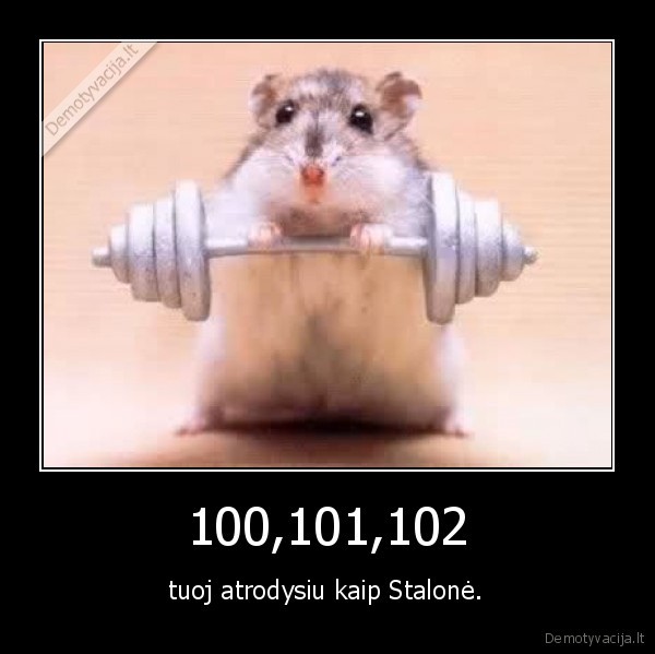 100,101,102