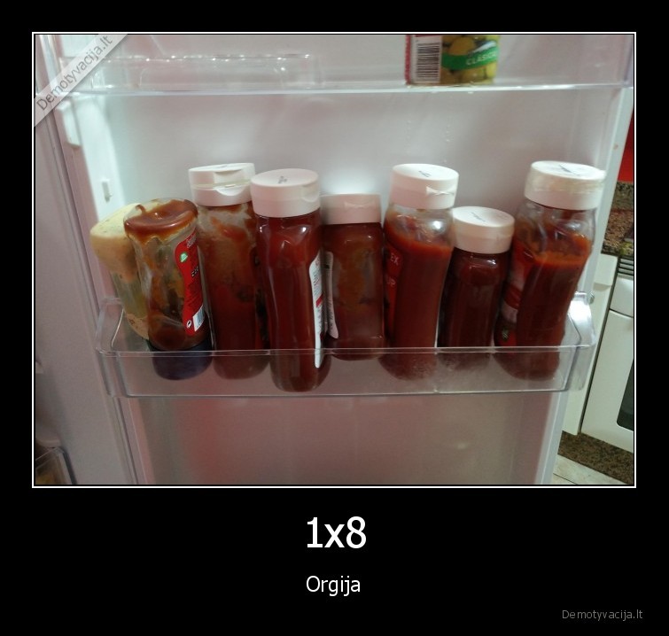 1x8