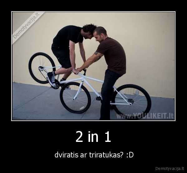 2 in 1